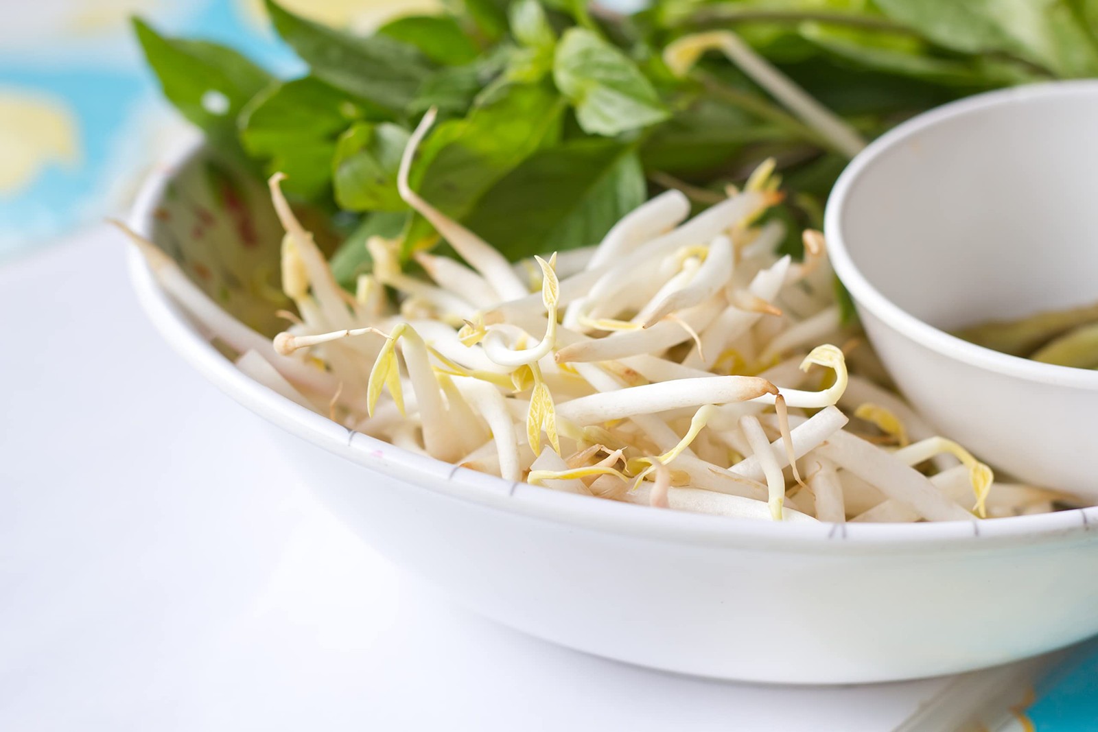 Todd’s Seeds® Sprouting Seeds Mung Bean, Chinese Bean Sprouts, 5 Pounds