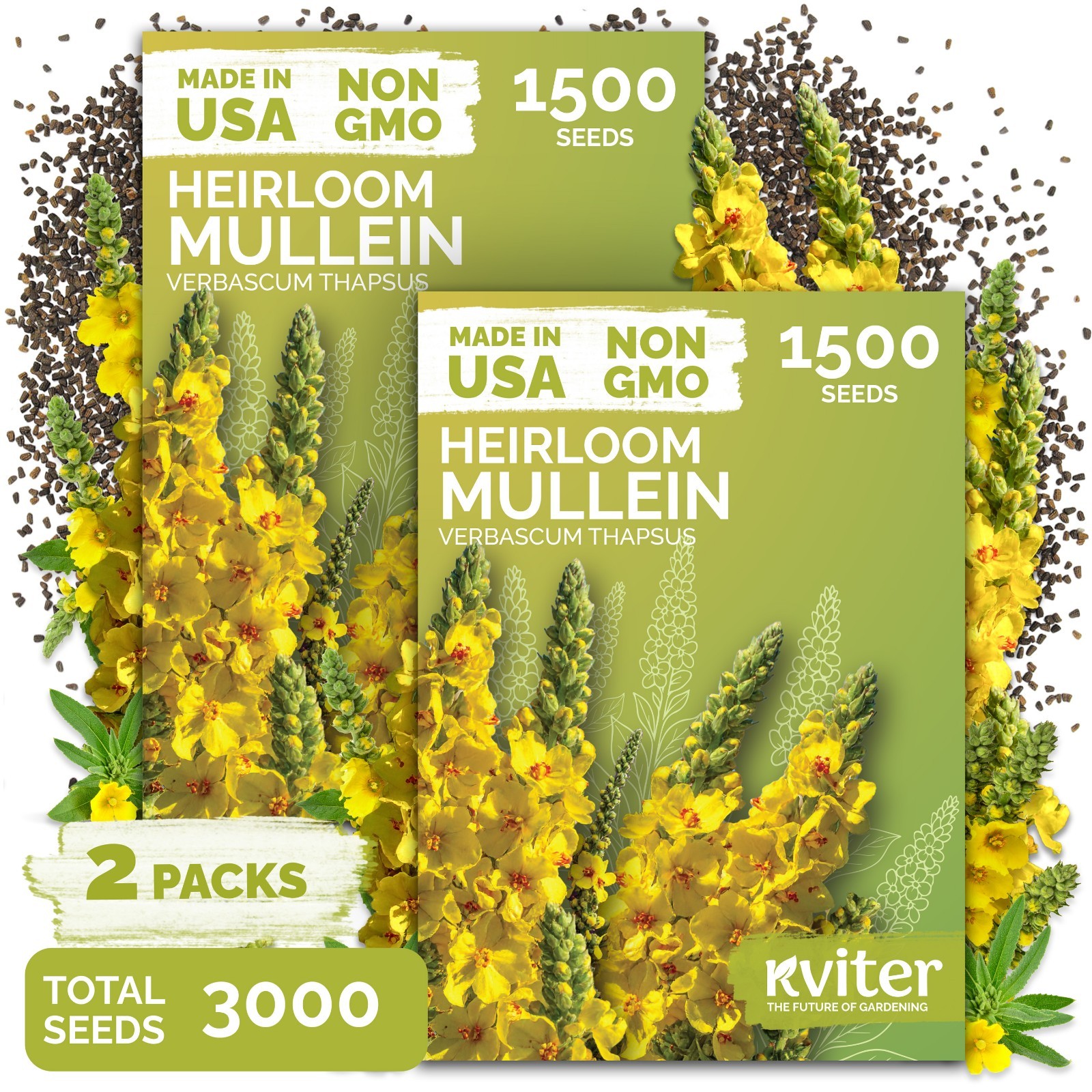 KVITER 3,000 Mullein Seeds (Verbascum Thapsus), 2 Pack