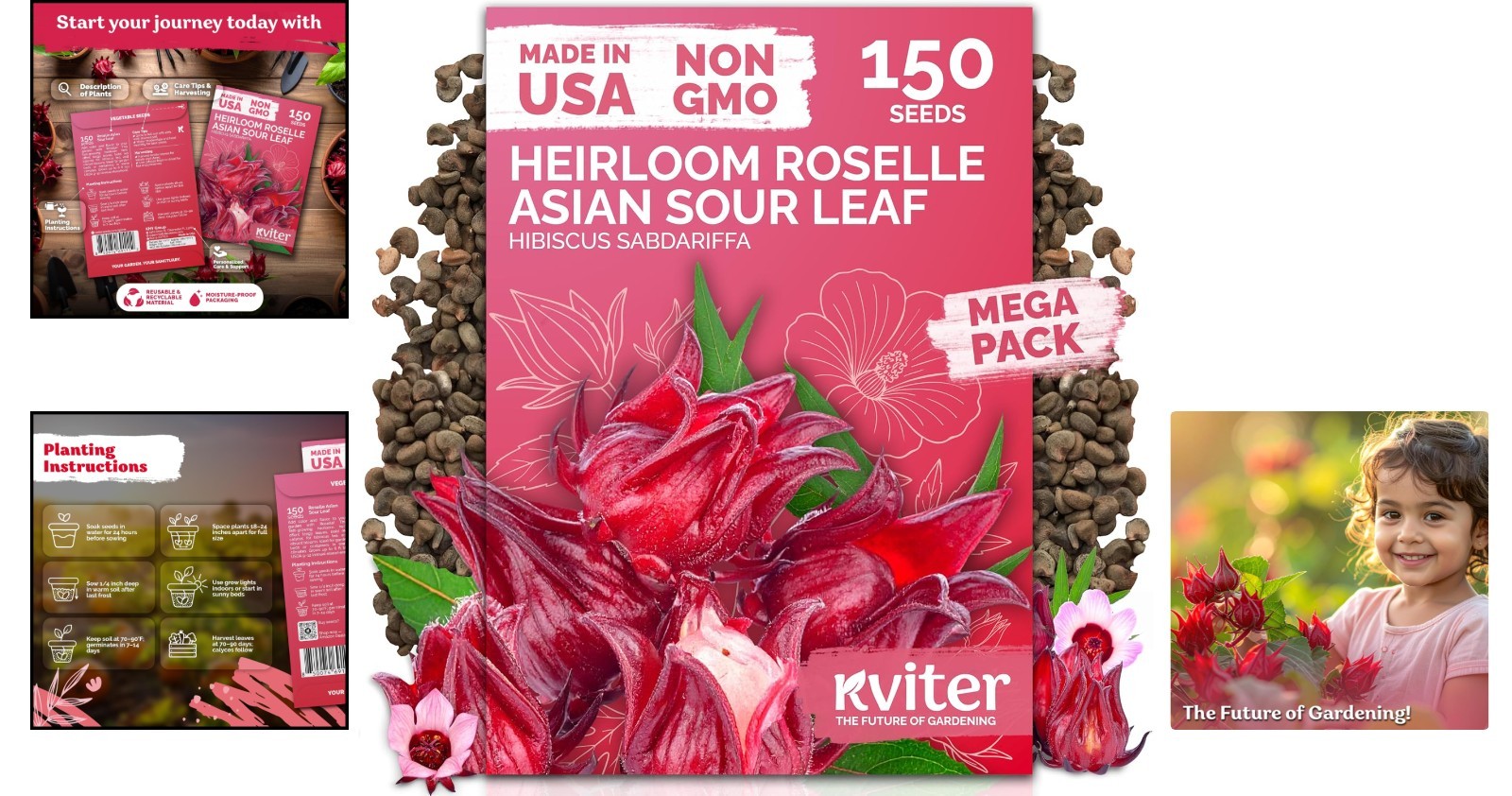Vibrant Red Hibiscus Seeds – 150 Count for Garden & Delicious Hibiscus Tea