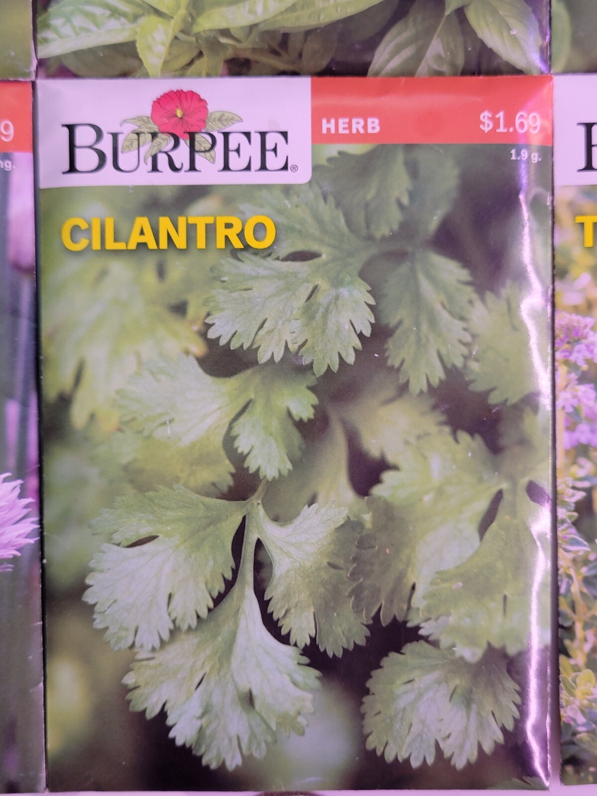 Burpee Herb Seed Assortment 1 (2021) New Sealed Inventory Guaranteed to Sprout