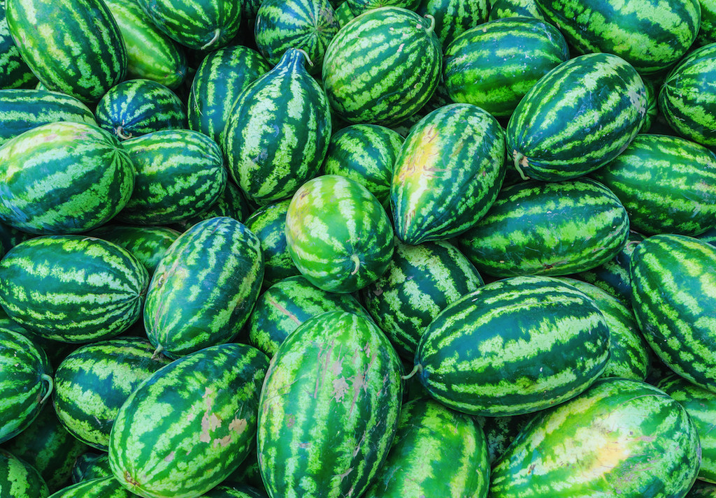 Congo Watermelon Seeds 25 Ct Fruit USA 35-50 lbs NON-GMO FREE SHIPPING SWEET