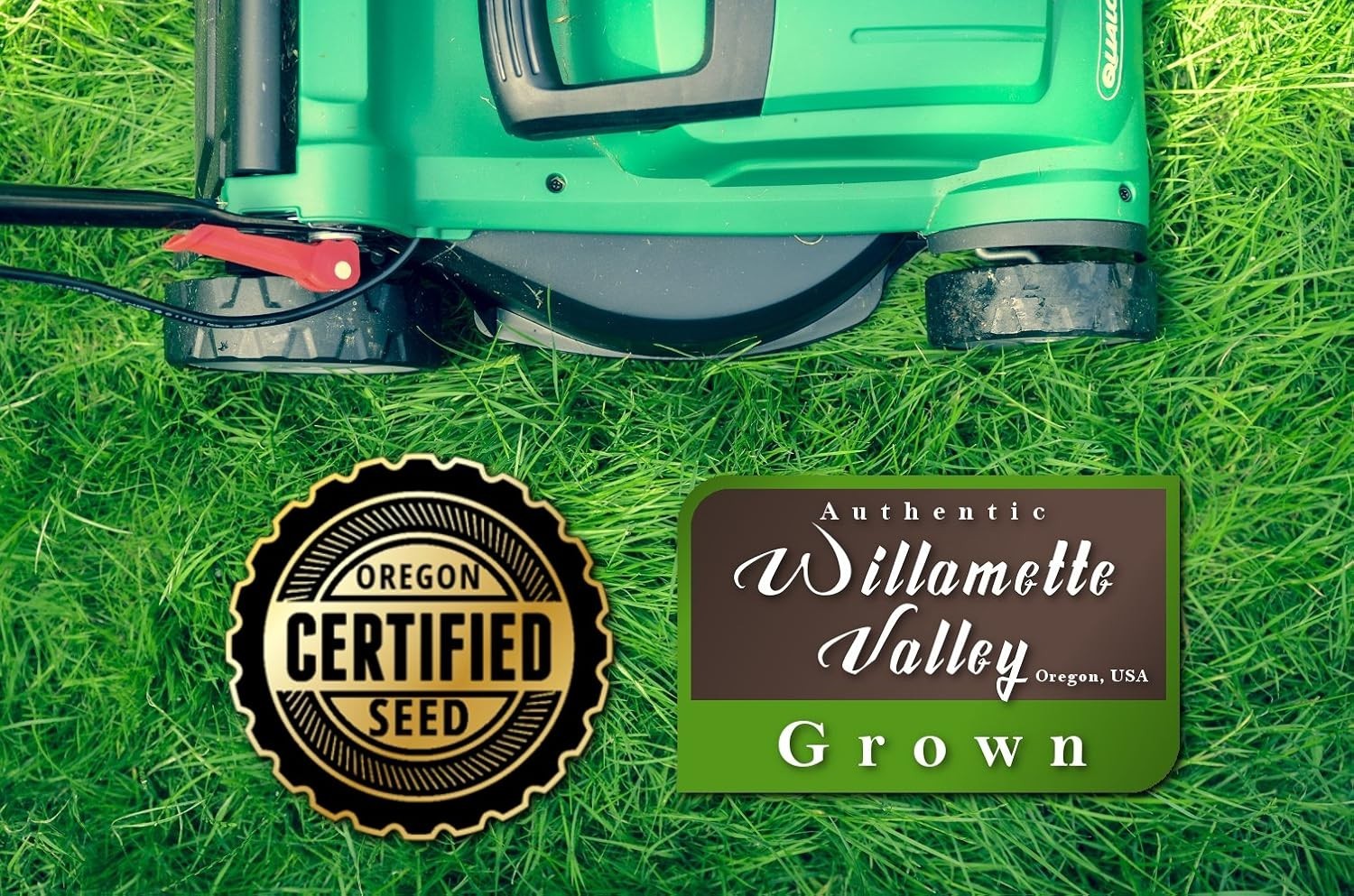 Kentucky 31 Tall Fescue Grass Seed 10lbs – Durable, GMO Free & State Certified