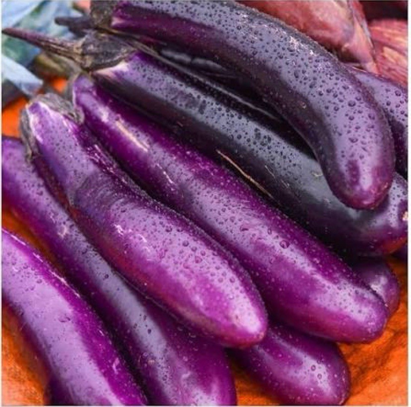 250+ Eggplants Seeds – Long Purple Eggplants Asian Vegetable USA