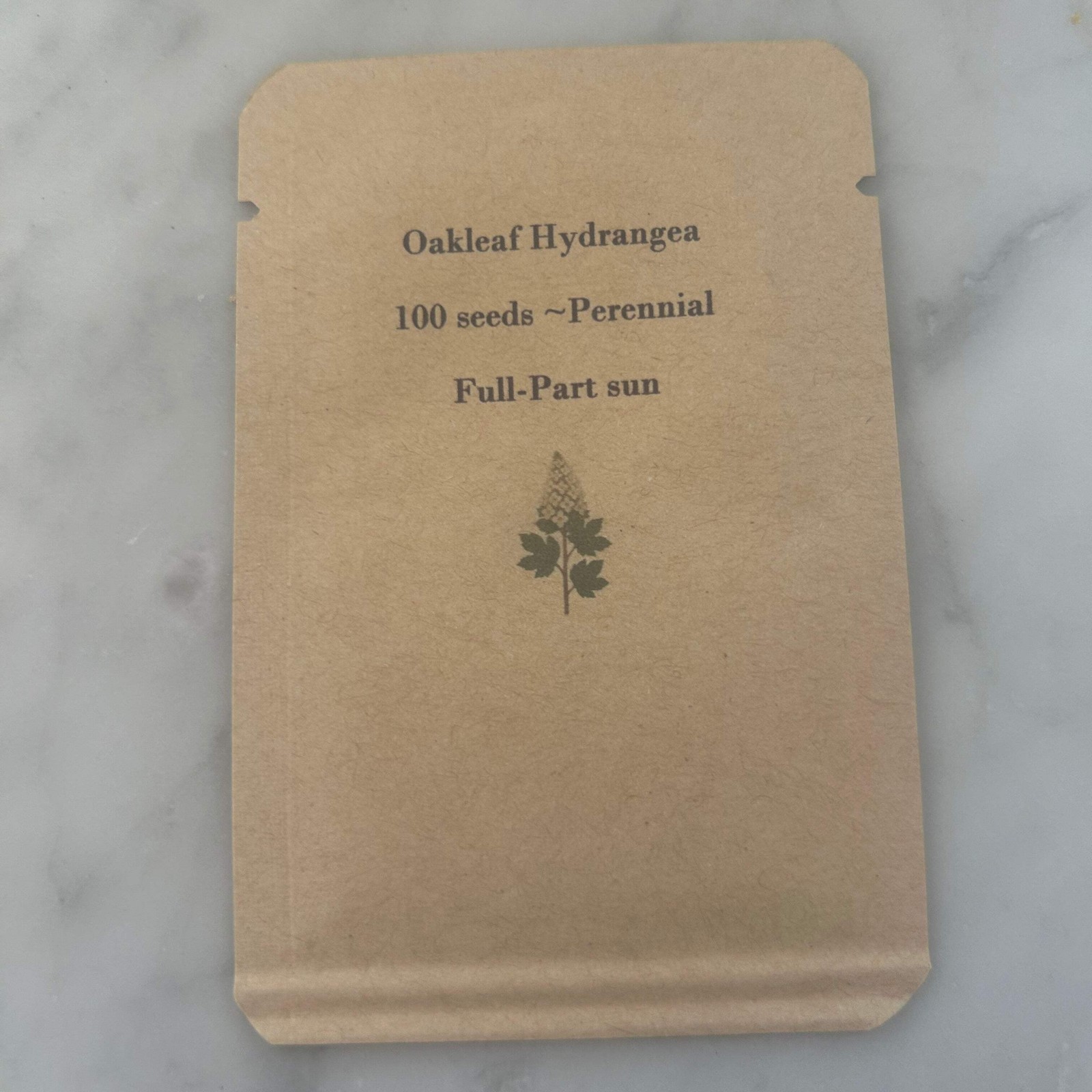 Oakleaf Hydrangea Seeds – 100 Count, Native Shrub, White Blooms, Zones 5-9