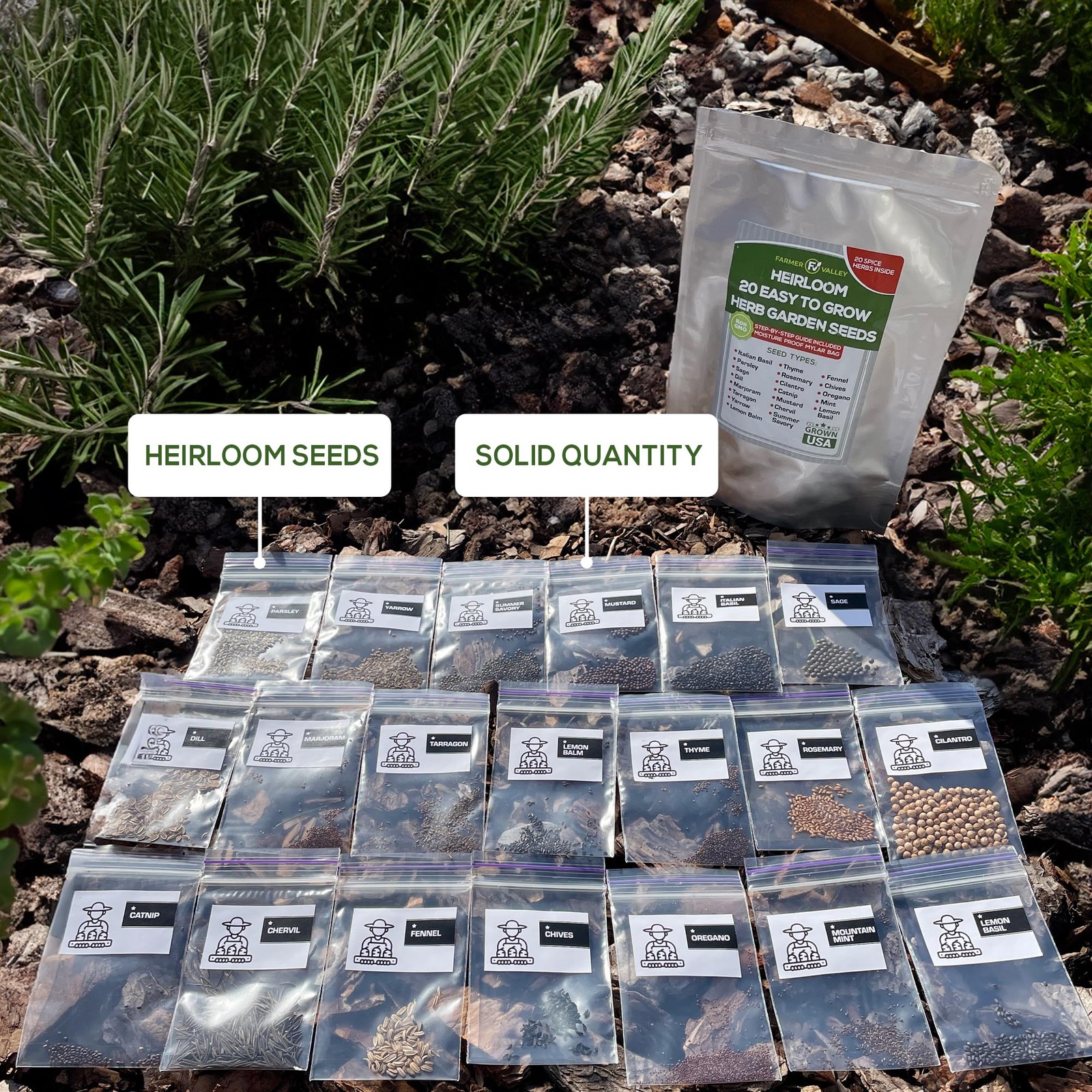 20 Easy to Grow Spice and Herb Seeds for Home Gardening – Kitchen & Culinary …