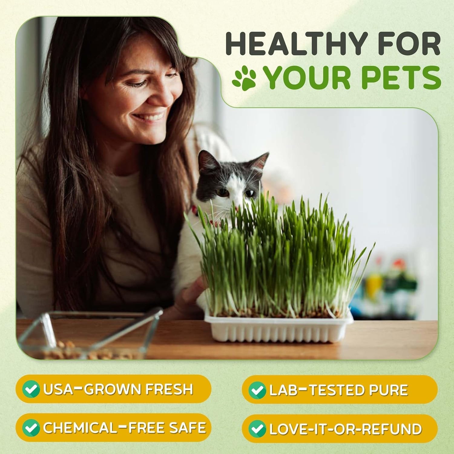 Todds Seeds – Cat Grass for Indoor or Outdoor Cats, 1lb Wheatgrass – Premium,