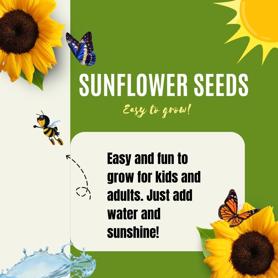 100 Count Dwarf Sunflower Seeds for Vibrant Indoor and Outdoor Gardens