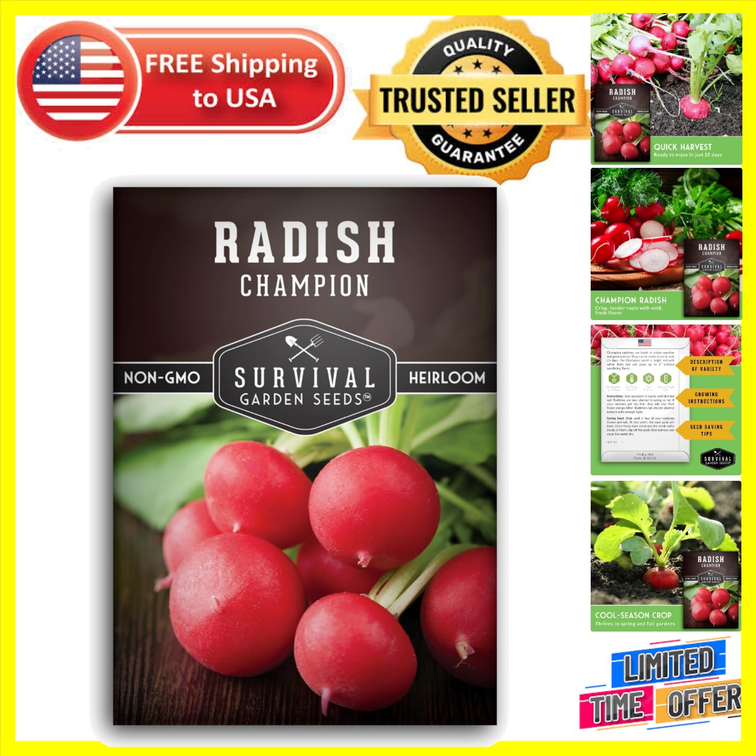 Champion Heirloom Radish Seeds – Fast Growing, Disease Resistant, 1 Pack
