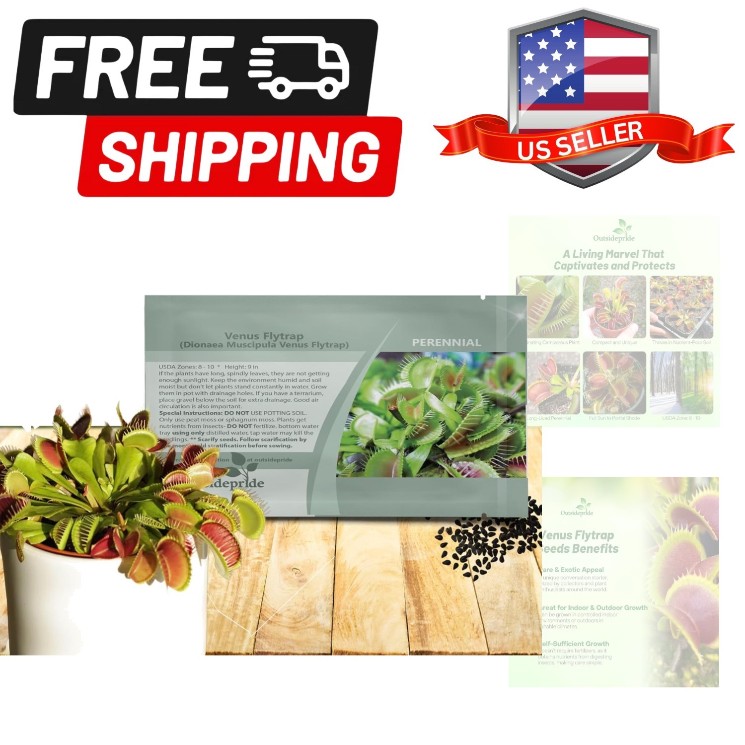 Venus Flytrap Seeds – 10 Pcs Perennial, Unique & Carnivorous, Indoor Plant Se…