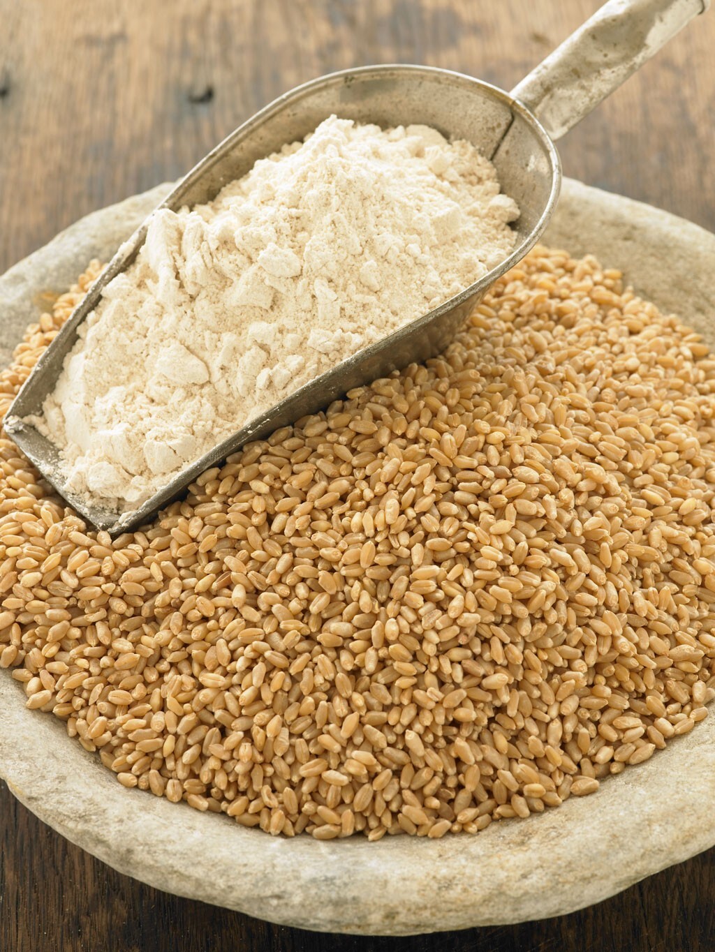 HARD WHITE WHEAT – GRAIN SEEDS – for Making Indian Roti ( Tortilla) 20lb
