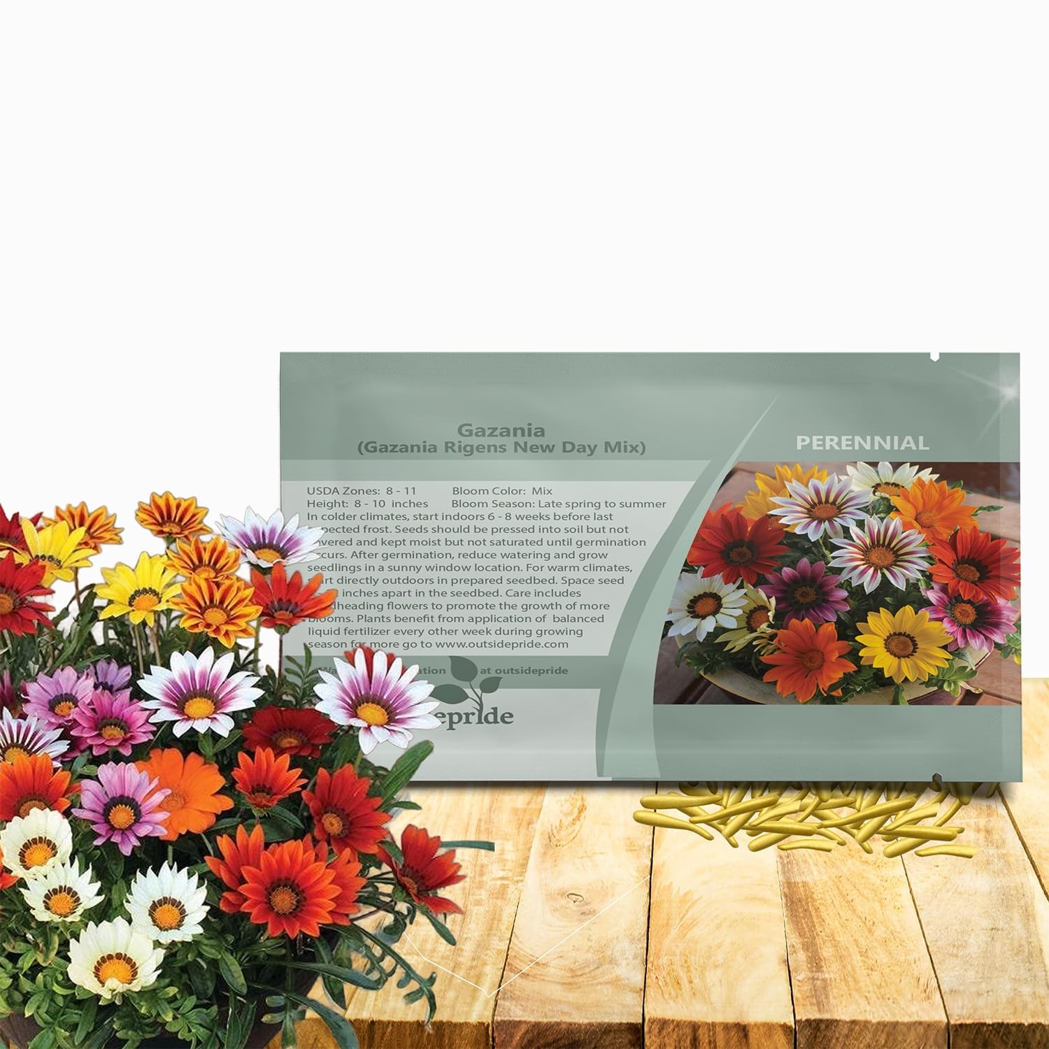 New Day Mixed Gazania Seeds for Planting – 50 Pcs Perennial, Low-Maintenance,…