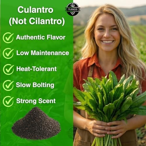 Culantro Seeds 3000+ Heirloom Non-GMO Herb Seeds Cilantro Alternative for