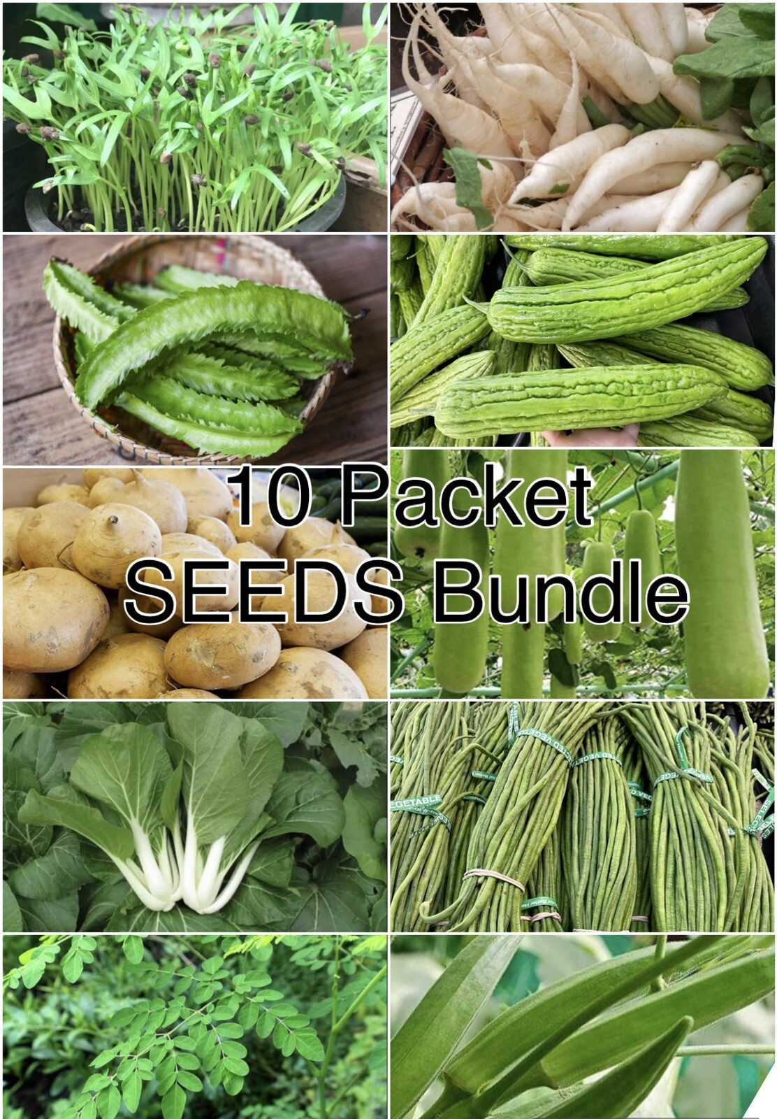 10 Packet Filipino | Asian SEEDS Bundle for Planting