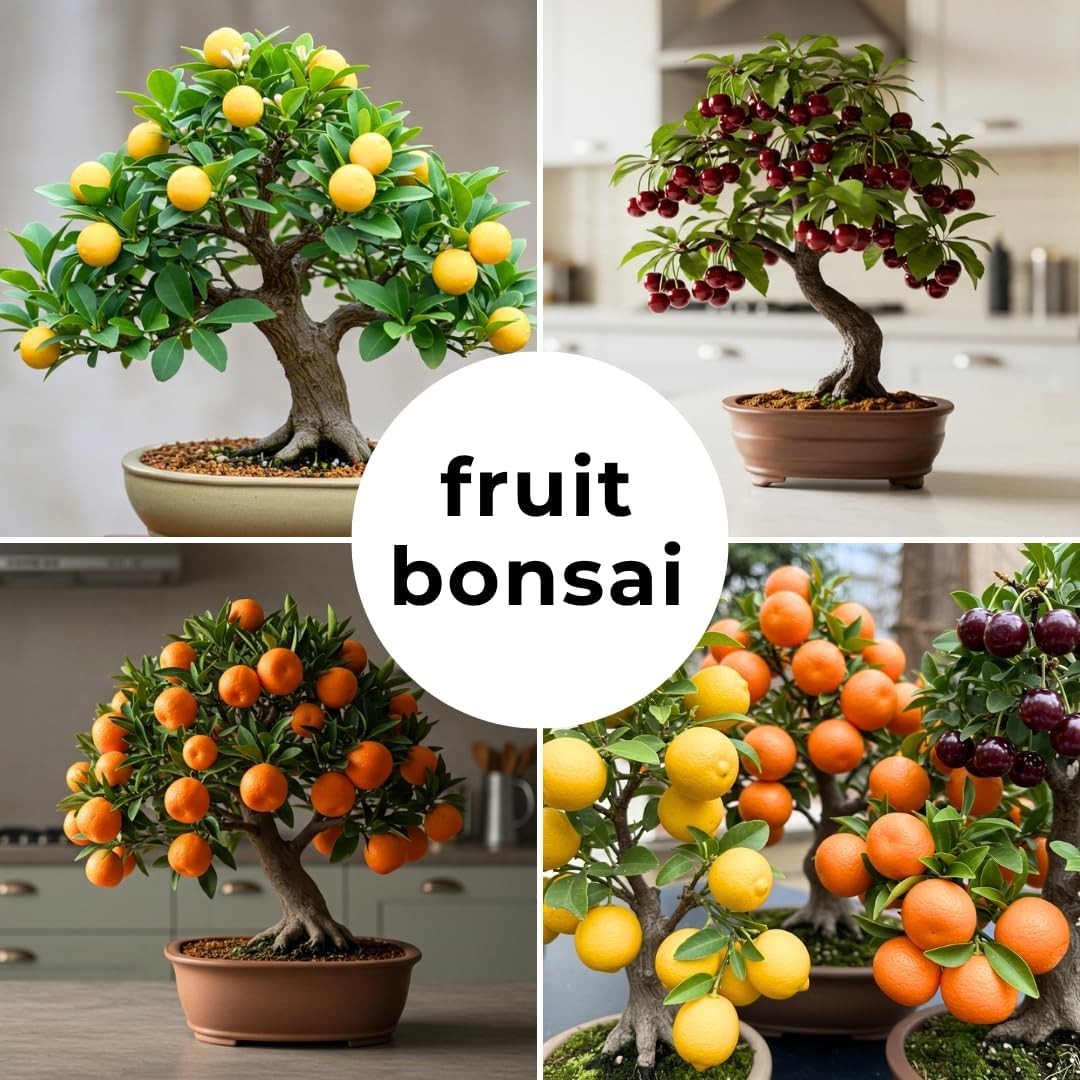 Grow Your Own Fresh Fruits: 150+ Dwarf Bonsai Tree Seeds (Lemon, Cherry, Orange)