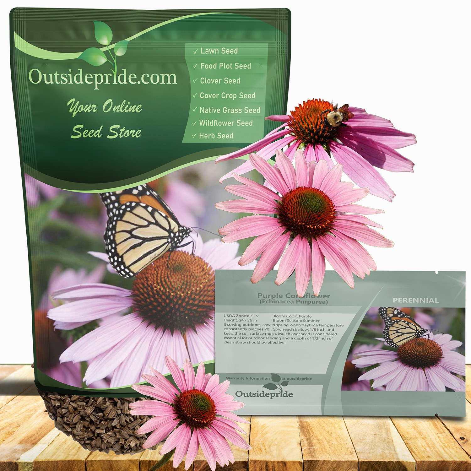 1 LB Purple Coneflower Wild Flower Seed For Planting | Echinacea Seeds