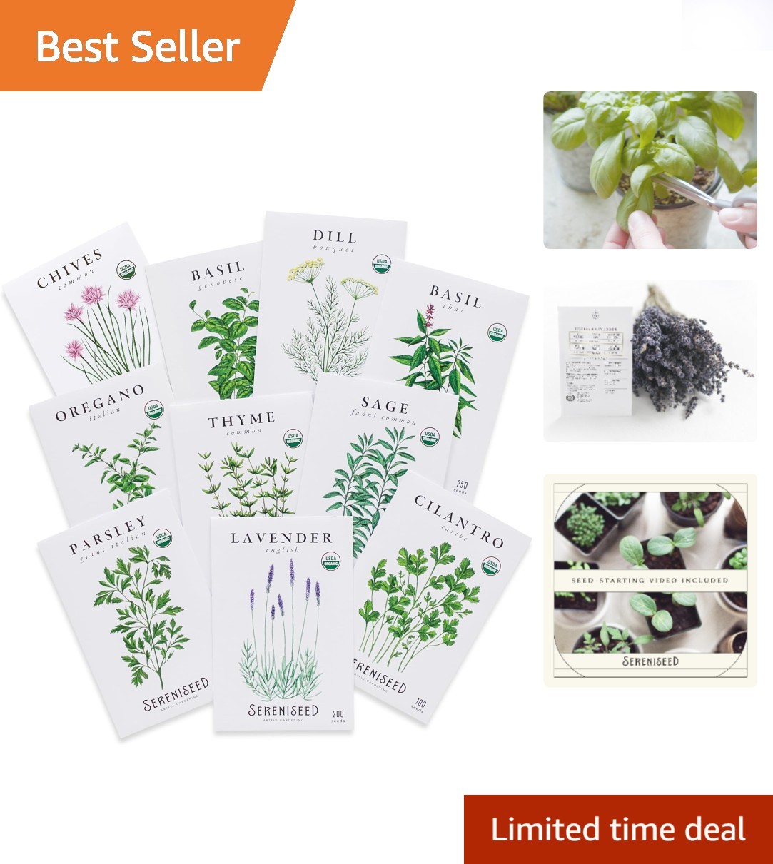Heirloom Culinary Herb Seed Collection – 10 Organic Varieties with Video Guide