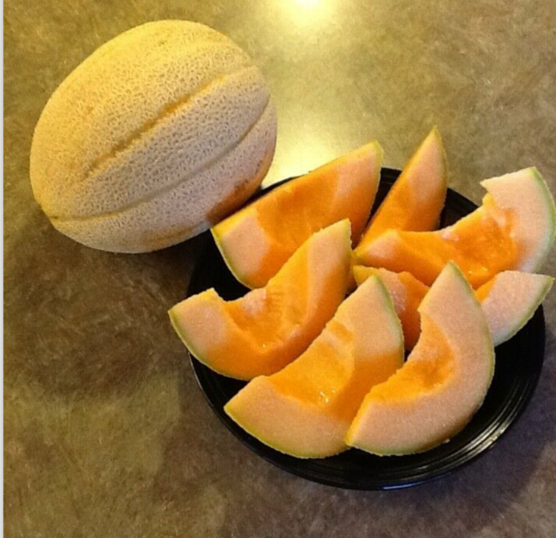 50 Hales Best Jumbo Cantaloupe seeds organically grown heirloom non gmo