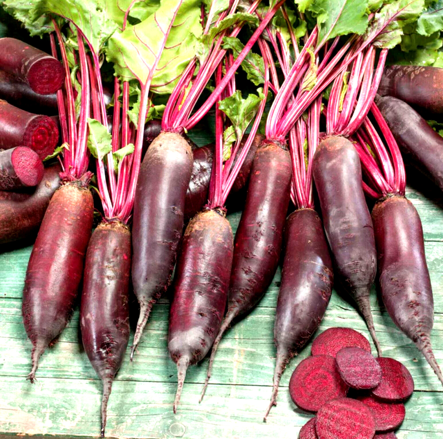 Cylindra Beet Seeds 100+ SEEDS NON-GMO –BUY 4 ITEMS FREE SHIPPING