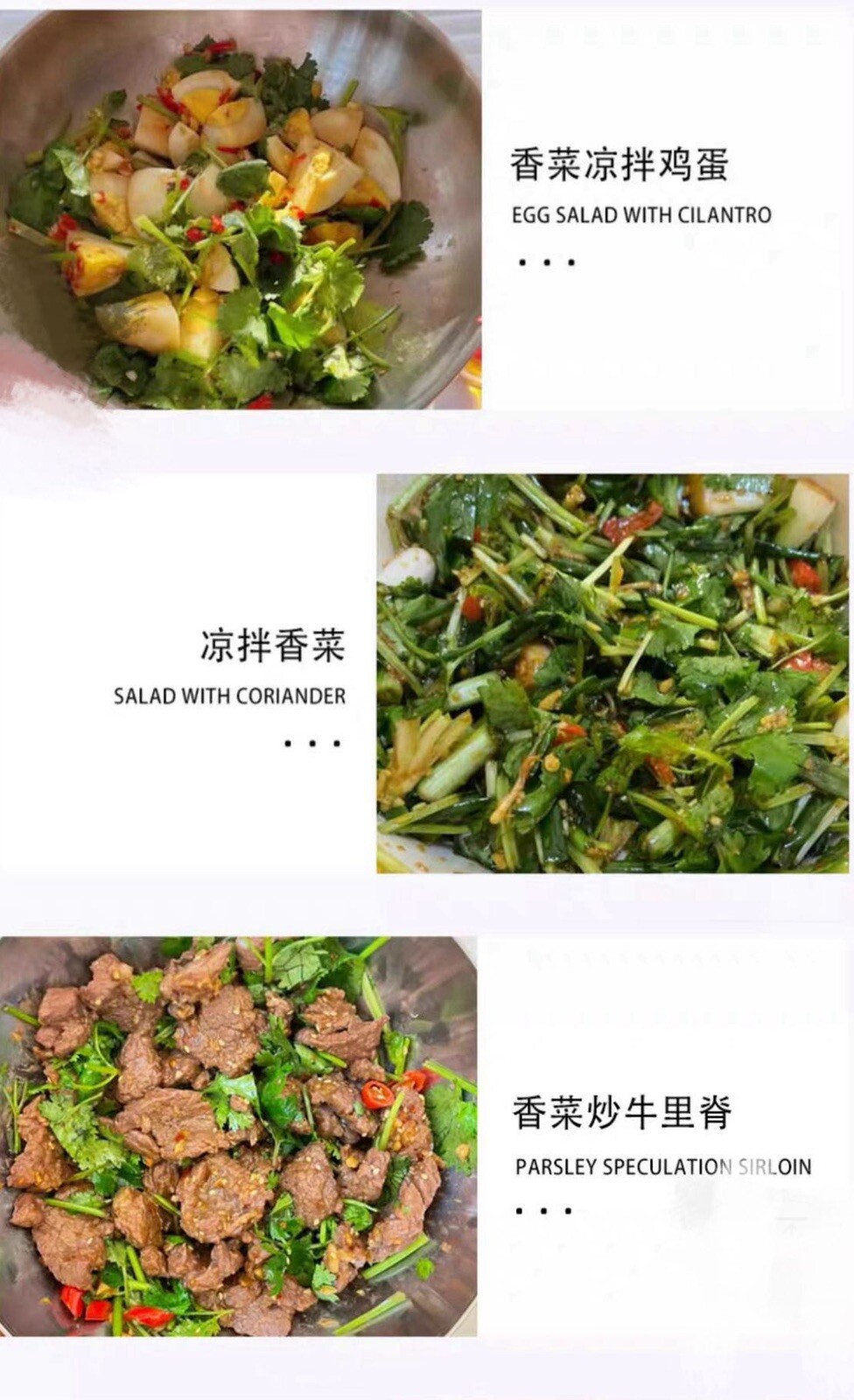 400+ Split Cilantro/Coriander Herb Garden seeds 400多粒香菜种子 2024年新种子