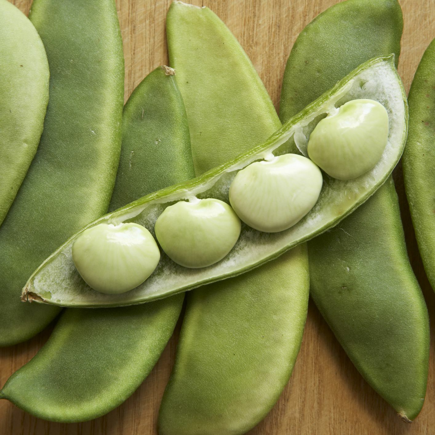 Fordhook 242 Lima Bean Seeds | AAS Winner Butter Pea Vegetable Seed Fresh 2024