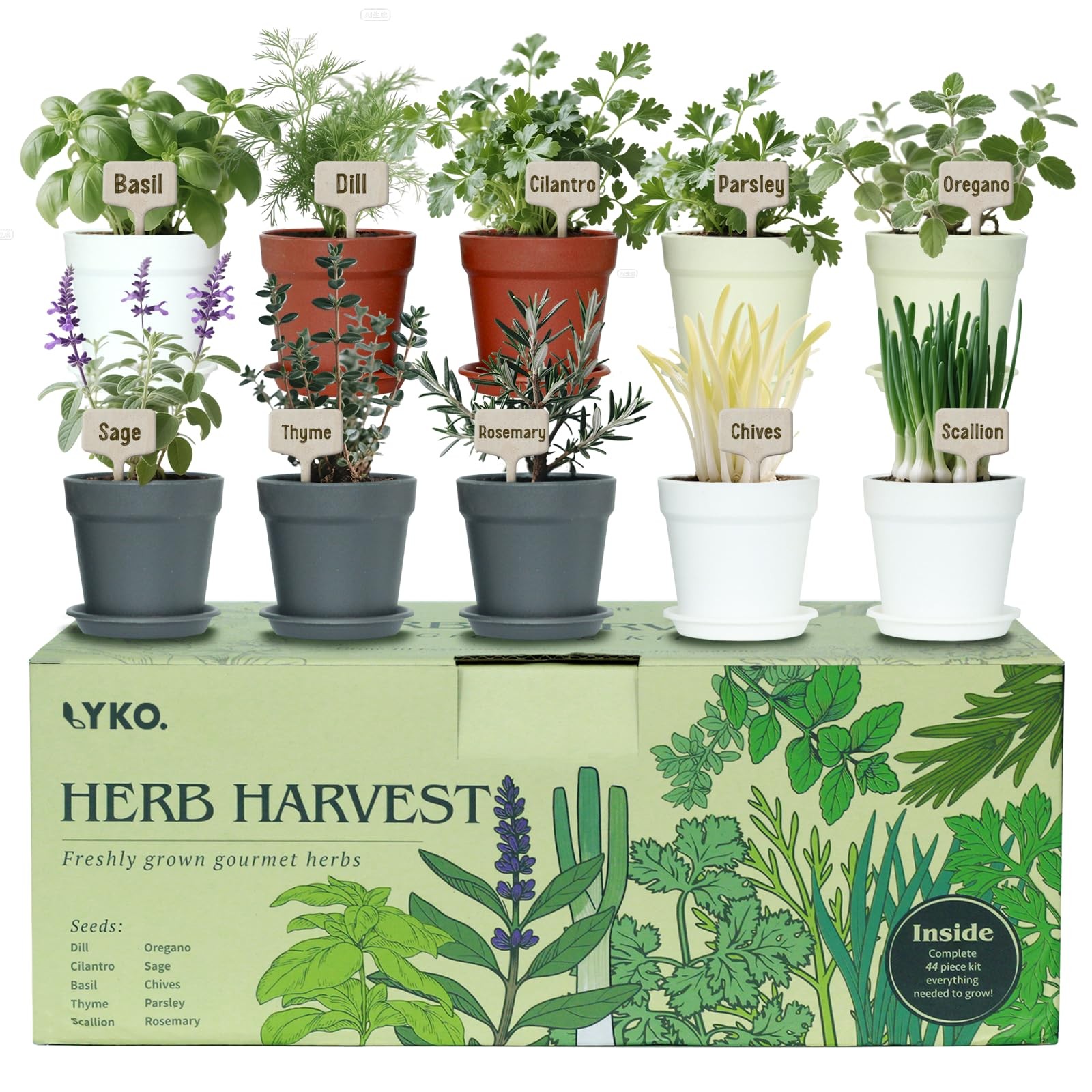 Indoor Herb Garden Kit – 33pcs Starter Set with Pots, Soil & Tools