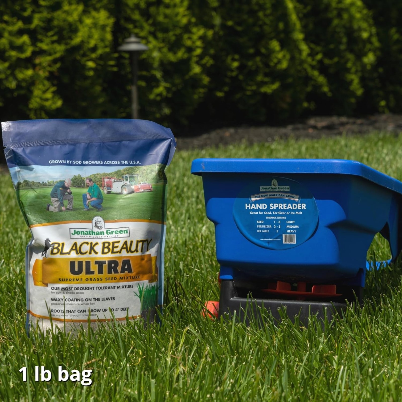 Jonathan Green Black Beauty Ultra Grass Seed, 1 lb bag