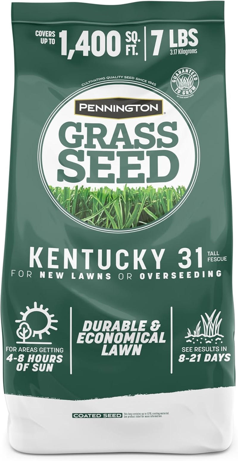 Kentucky 31 Fescue 7 LB Tall Fescue Grass Seed, Grass Seeds for Lawn