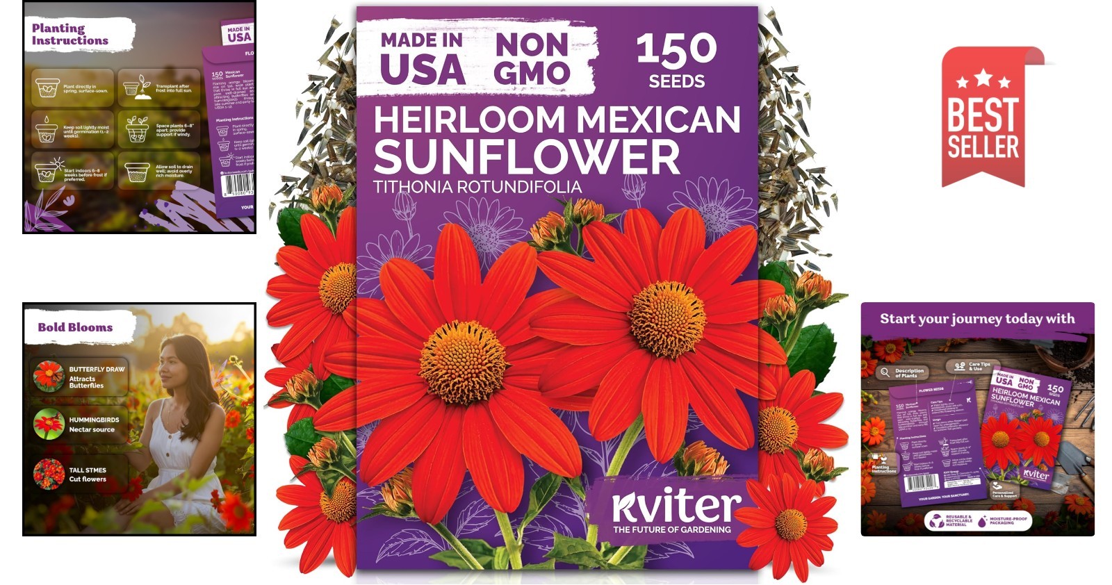 Low Maintenance 150 Count Mexican Sunflower Seeds – Full Sun, Bold Orange Blooms