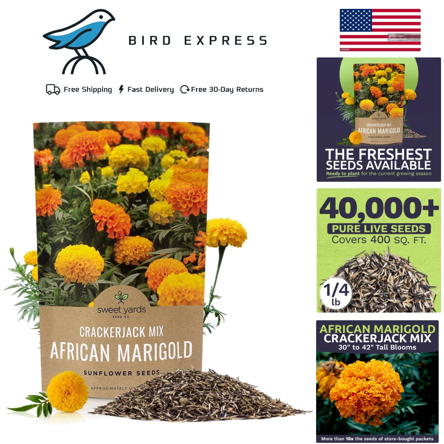 African Marigold Seeds Crackerjack Mix Bulk 1/4 Pound Bag Over 40,000 Seeds