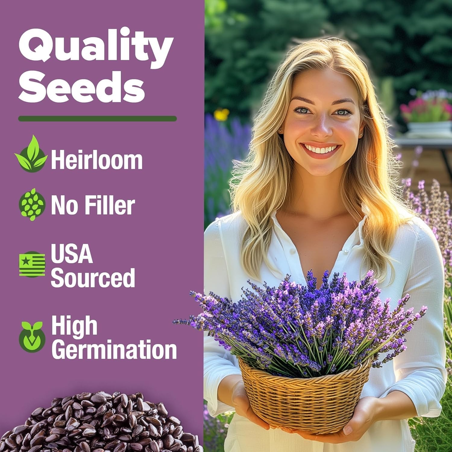Low Maintenance Non-GMO Lavender Seeds – 1,500+ Blooms for Any Skill Level