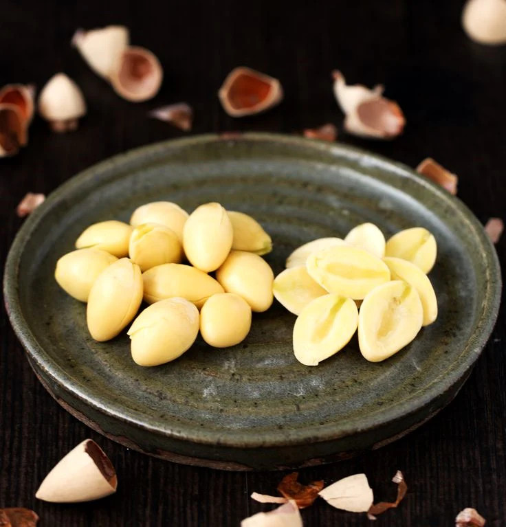 Ginkgo Biloba Tree Seeds | Maidenhair Nuts Perennial Seed For 2024 Fast Shipping