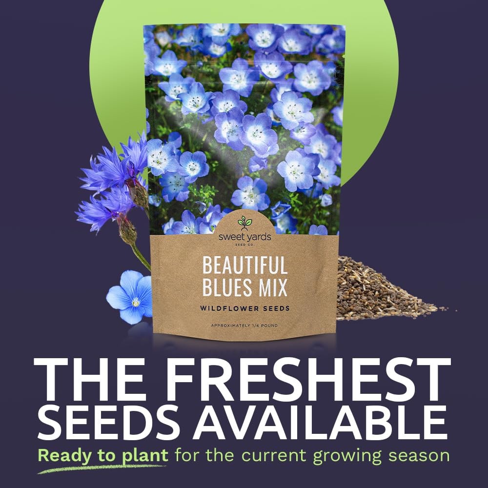 All Blues Wildflower Seeds – Bulk 1/4 Pound Bag – Over 30000 PureAnnual and P…