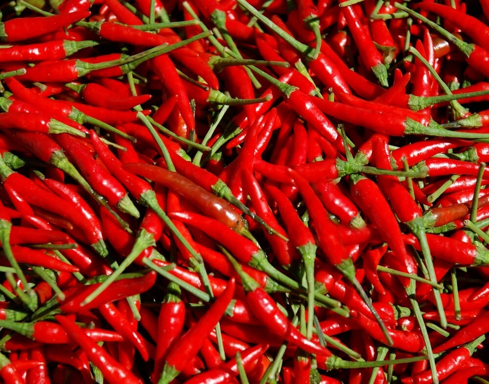 50+ seeds HEIRLOOM THAI CHILI HOT PEPPER FRESH SEEDS,USA
