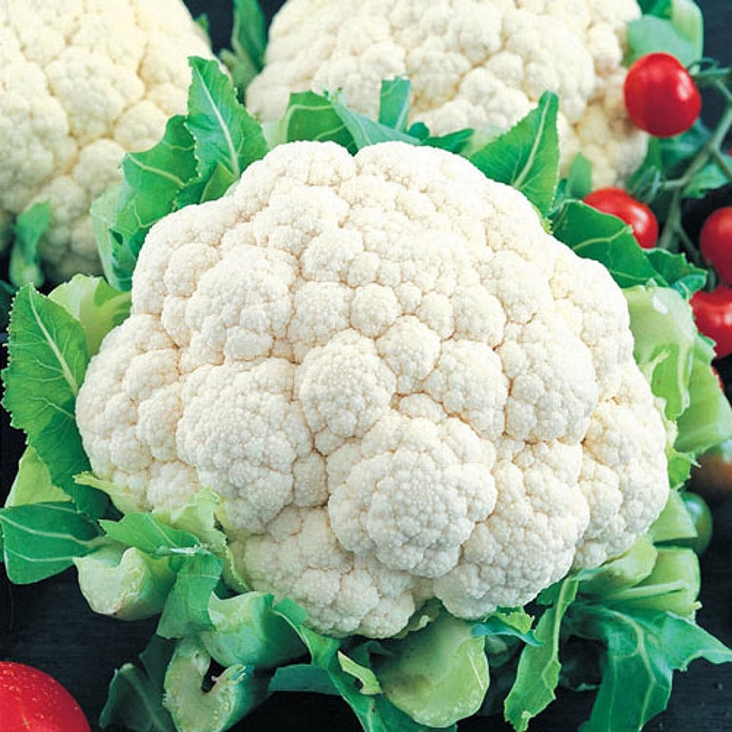 Snowball Self-Blanching Cauliflower Seeds – 1/4 Tsp. (75-90 seed count)