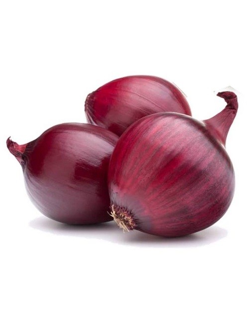 Red Burgundy Onion, Allium cepa, NON-GMO, Heirloom, Variety Sizes, FREE SHIPPING