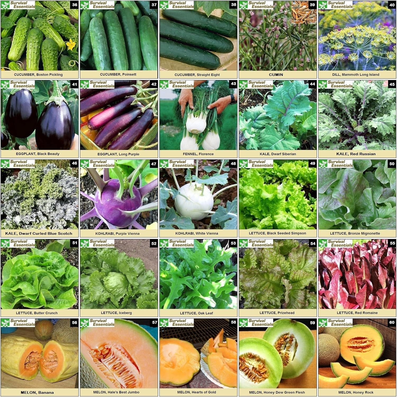 Complete Heirloom Seed Collection – 135 Varieties for All USDA Hardiness Zones