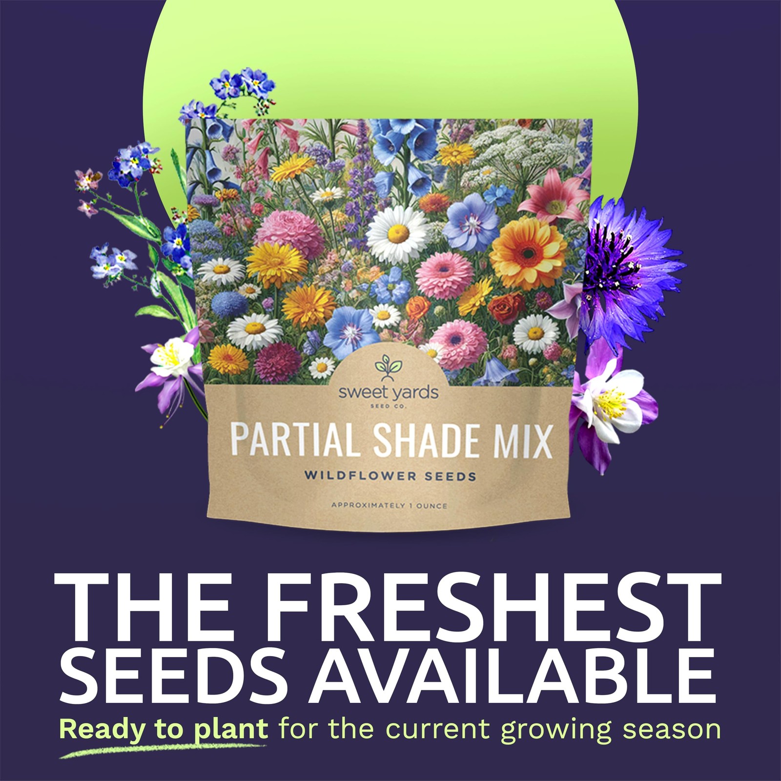 Wildflower Seeds Partial Shade Mix 1 Ounce 7000 Annual Perennial Planting