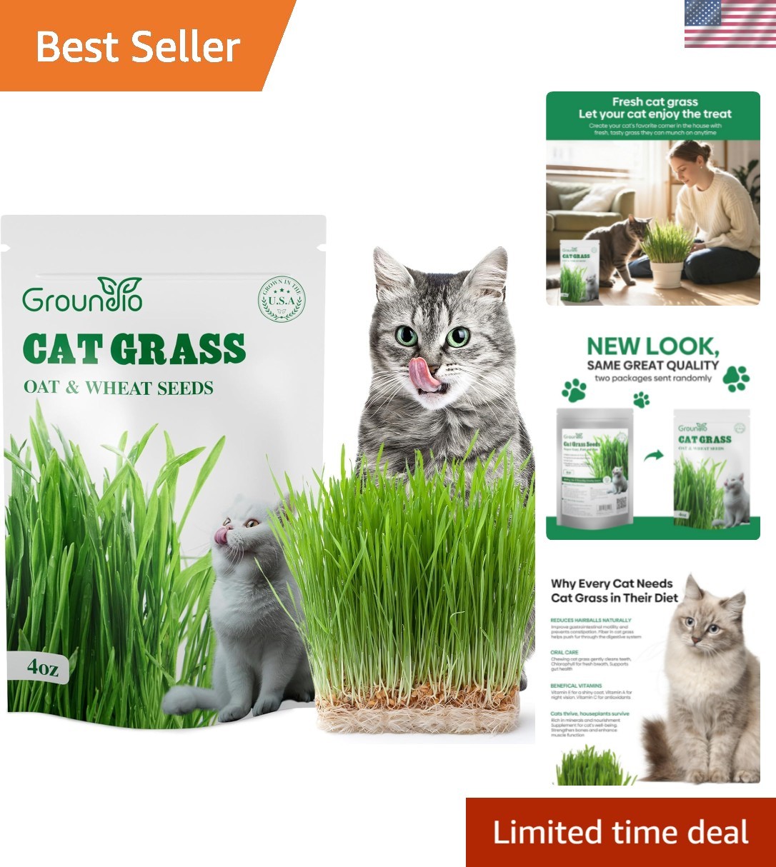 Cat Grass Seeds, 4 Oz, Non-GMO Wheat Cat Grass Seeeds & Oat Seeds Mix, High G…