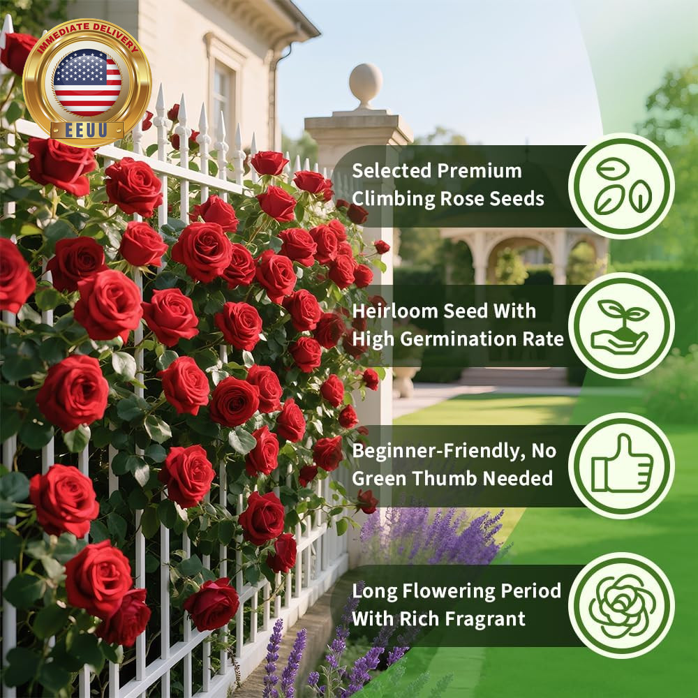 200+ Red Climbing Rose Seeds for Planting Outdoors Ornamental Climbing Flowers R