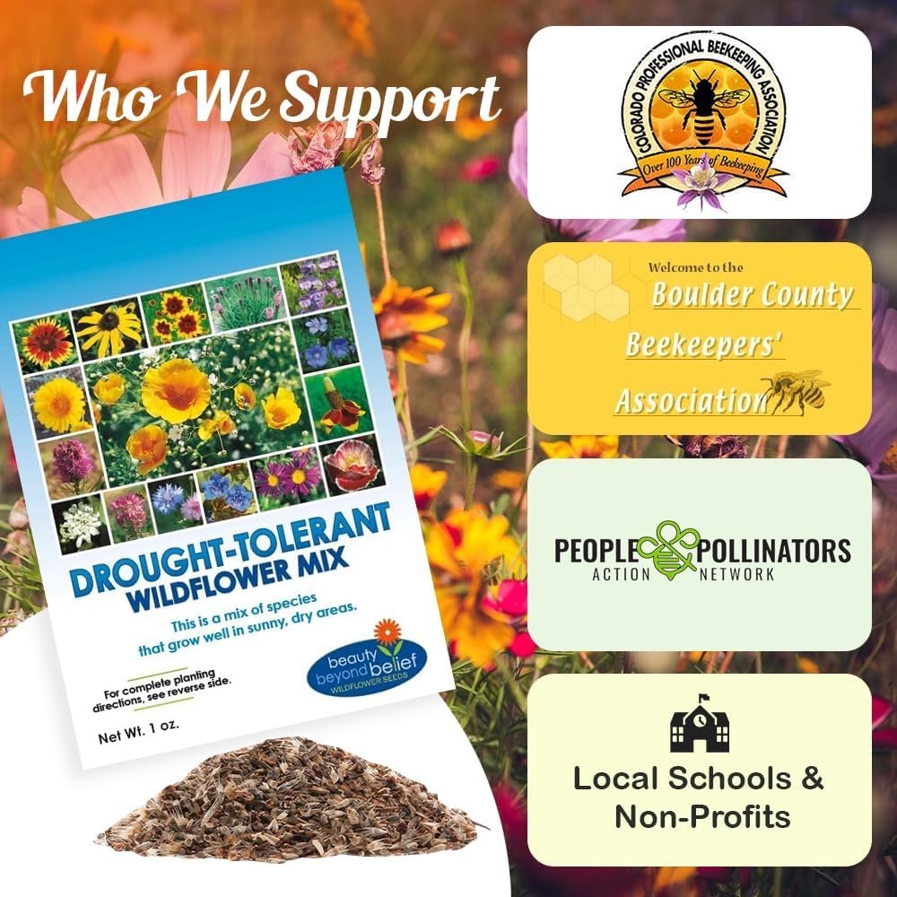 Drought Resistant Wildflower – 1Oz, Open-Pollinated Bulk Flower Seed Mix for Be