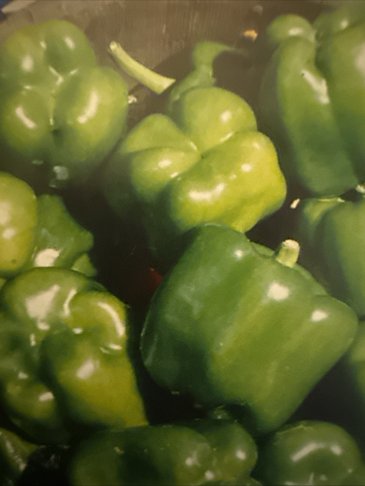 California Giant Green Bell Pepper Seeds