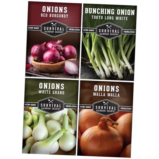 Onion Seeds 4 Variety Collection – Bunching, Red Burgundy, White Grano & Walla