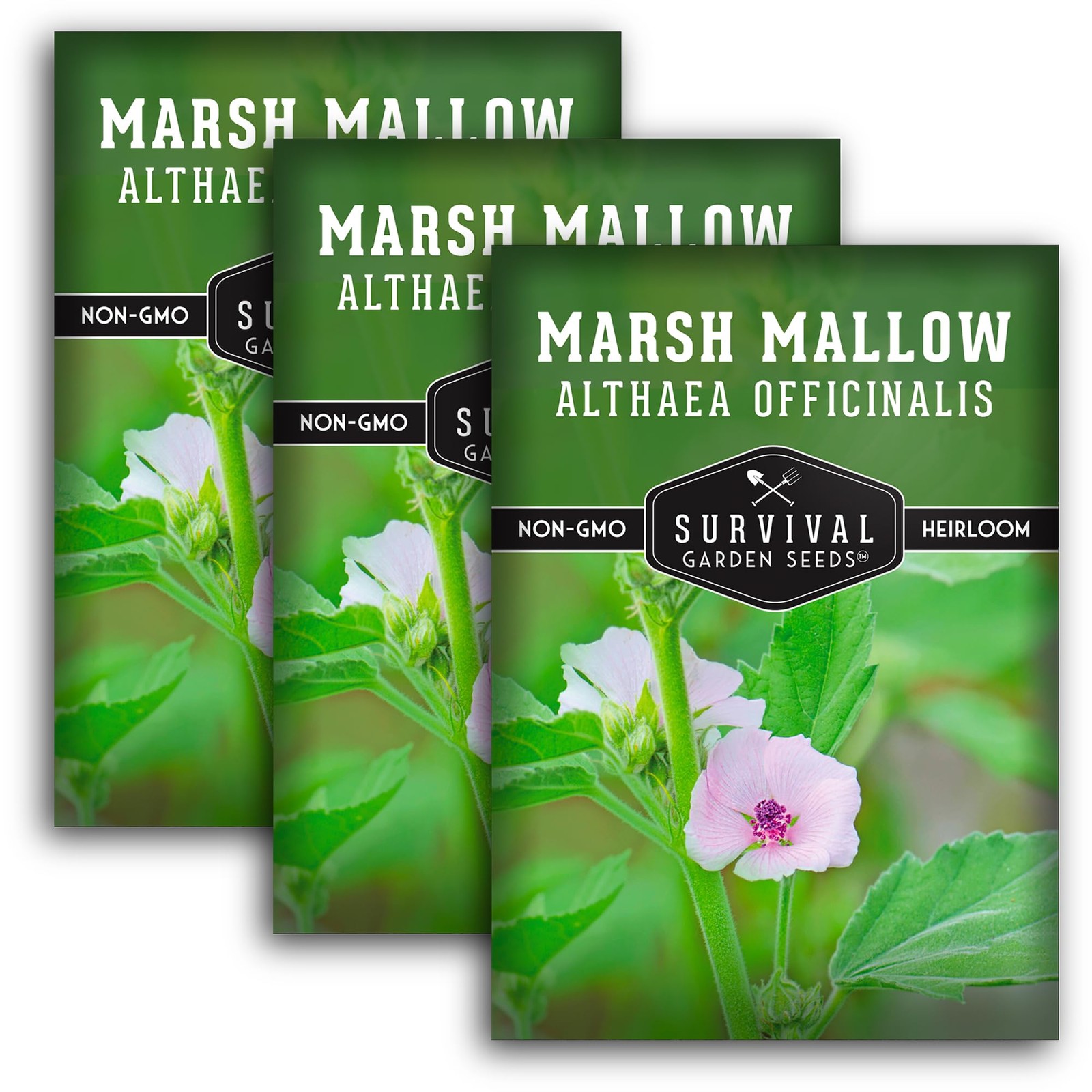 Marshmallow Seeds for Herb Garden – Non-GMO Medicinal Planting Kit (3 Pack)
