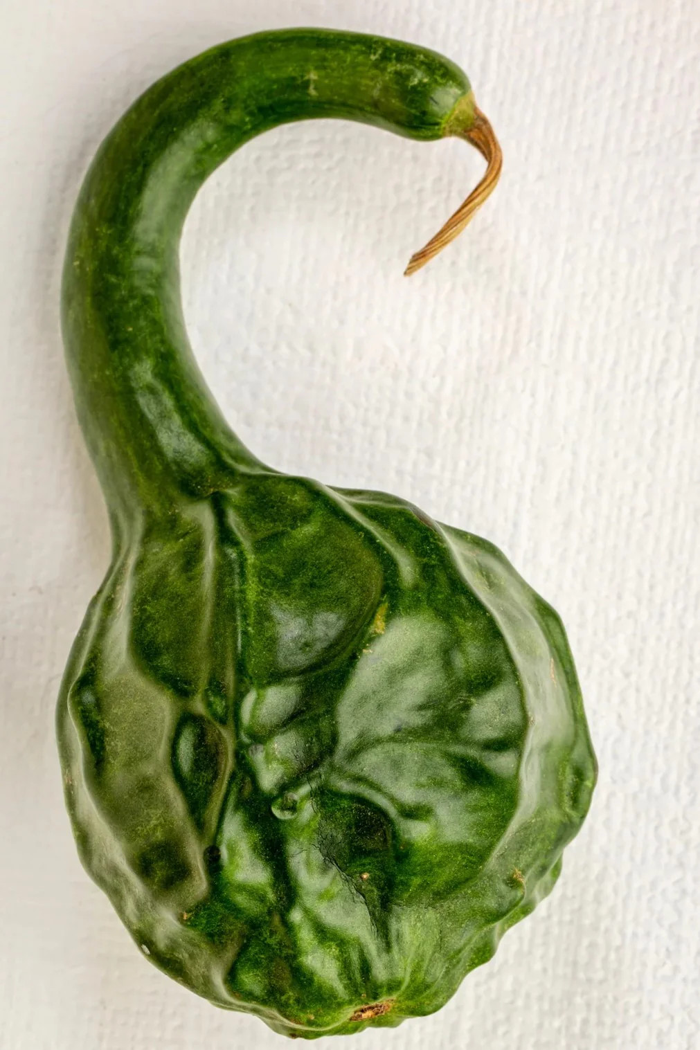 Caveman’s Club Gourd Seeds | Maranka Ornamental Birdhouse Bottle Craft Seed 2025