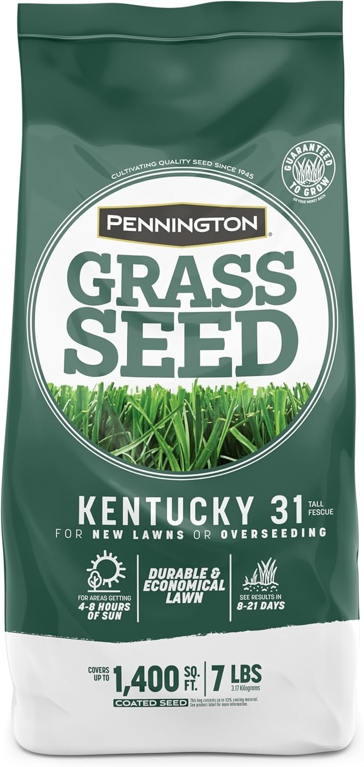 Pet-Friendly Kentucky 31 Tall Fescue Grass Seed – 7 lb, Covers 1400 sq. ft.