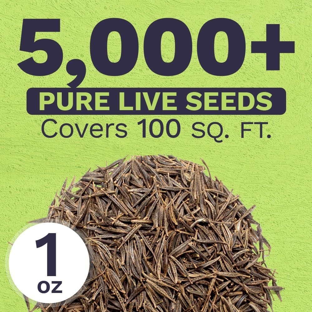 Cosmos Seeds – 5,000 Count Wildflower Mix in Lush Colors for Gardens