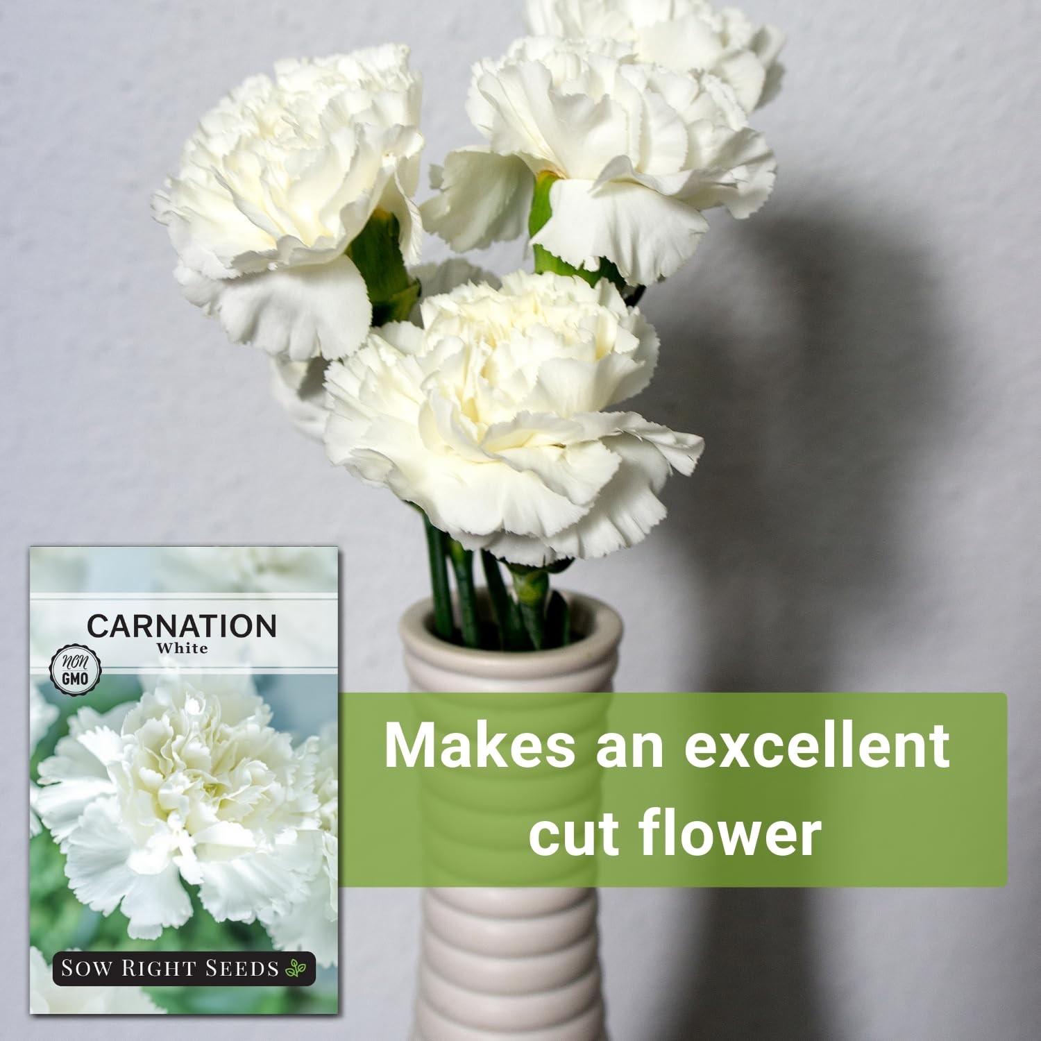 – White Carnation Seeds for Planting – Grow Beautiful Dianthus Blooms in Your…