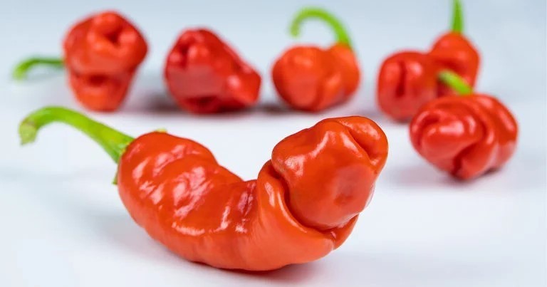 Peter (P***S) Red Pepper Seeds