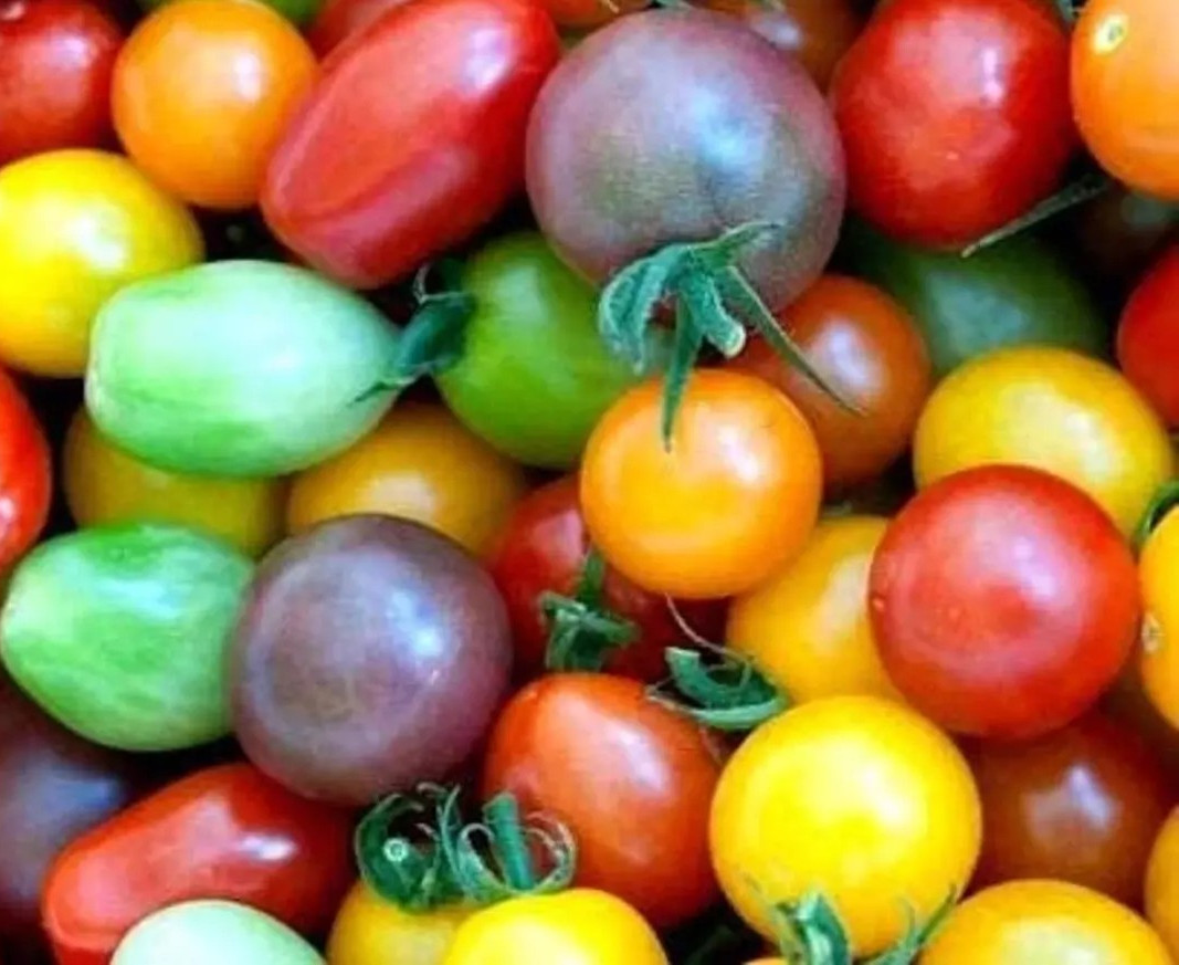 120+ Rainbow Cherry Tomato Seeds —————– Heirloom – Organic – NON GMO