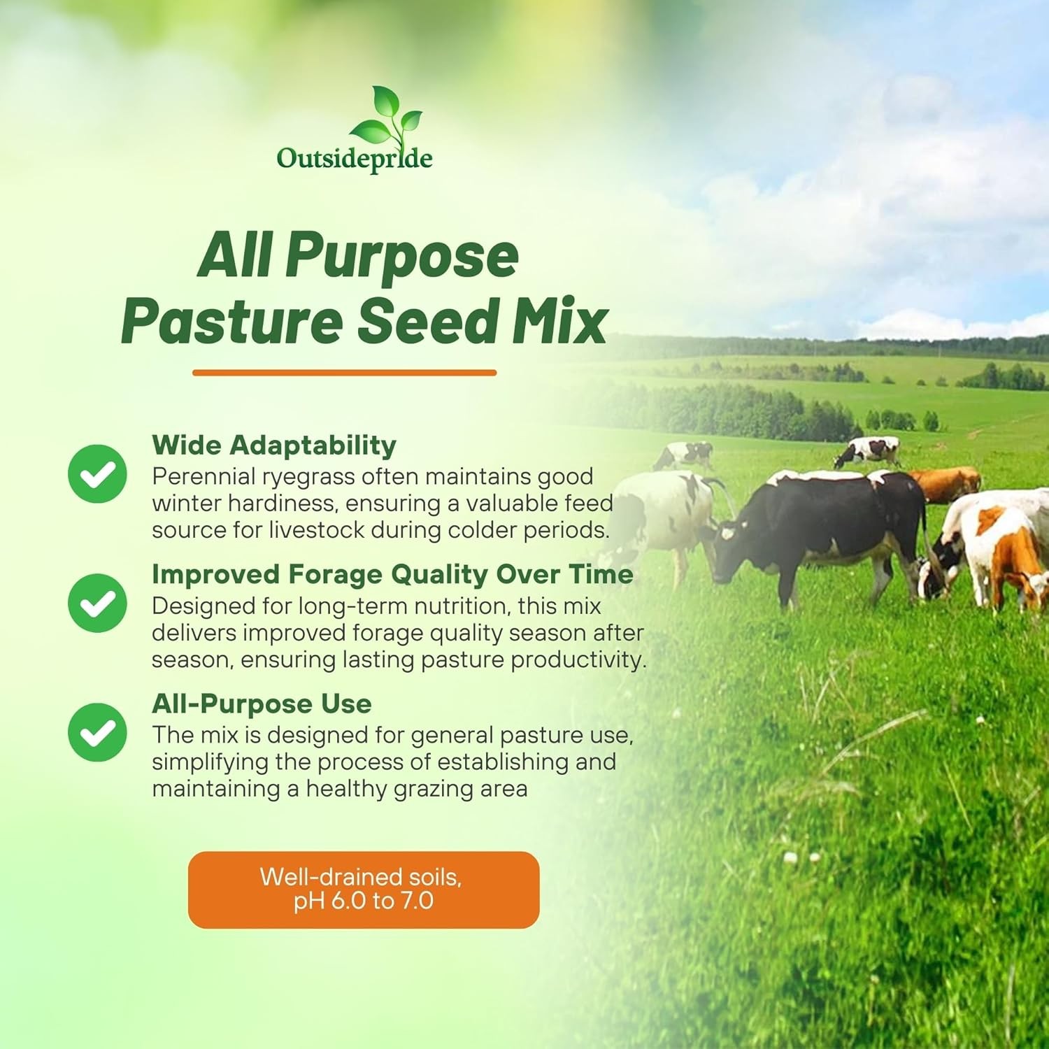 50 LBS All Purpose Pasture Seed Mix